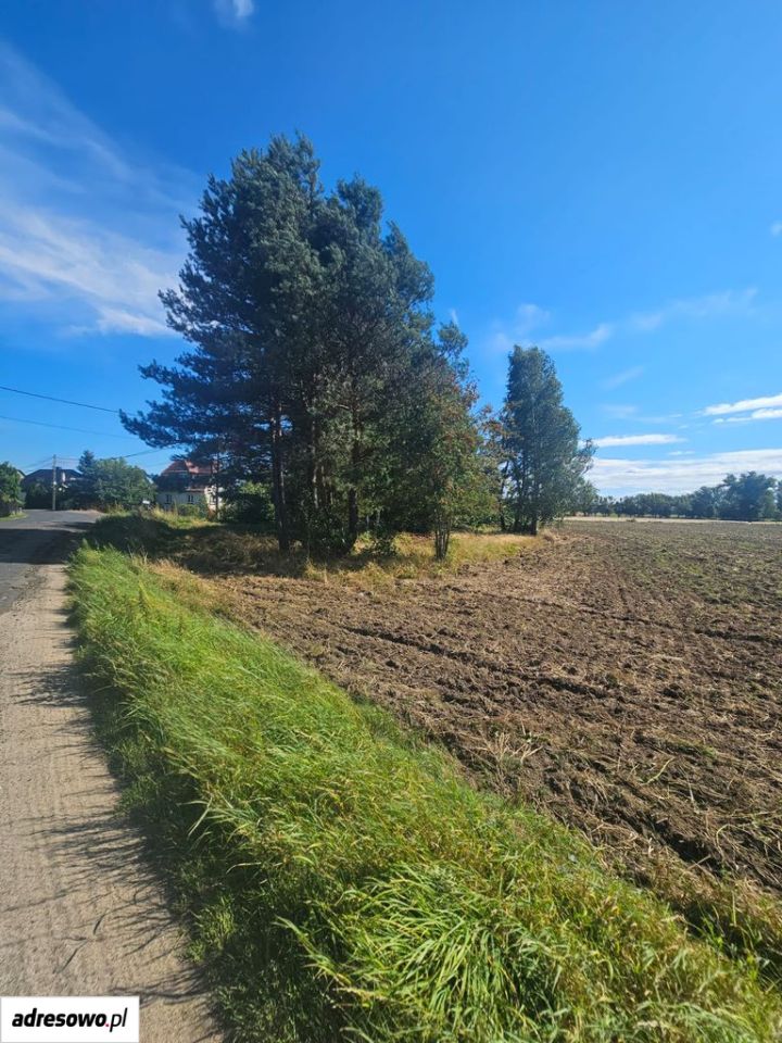 Działka rolno-budowlana Zagajnik, ul. Partyzantów. Zdjęcie 4