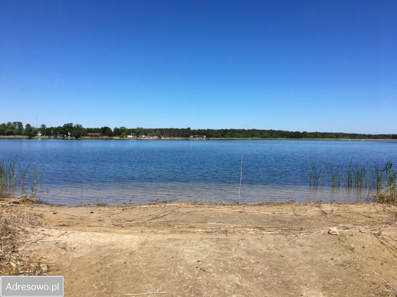 Działka inwestycyjna Prądocin. Zdjęcie 5