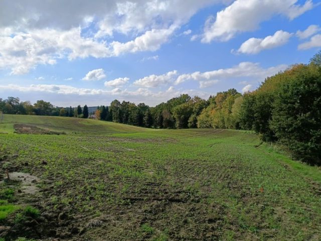 Działka budowlana Jastrzębie-Zdrój Ruptawa, ul. P. Skargi. Zdjęcie 1