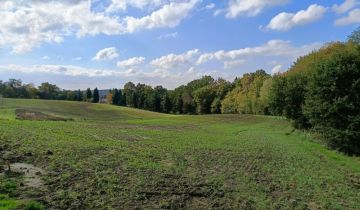 Działka budowlana Jastrzębie-Zdrój Ruptawa, ul. P. Skargi