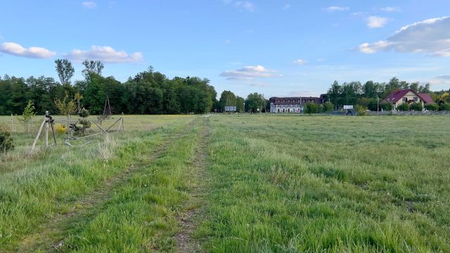 Działka budowlana Nieborów, ul. Łąkowa. Zdjęcie 1