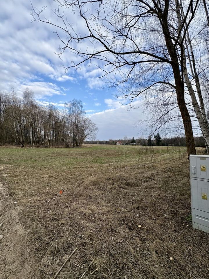 Działka rolna Rogowo-Kolonia. Zdjęcie 4