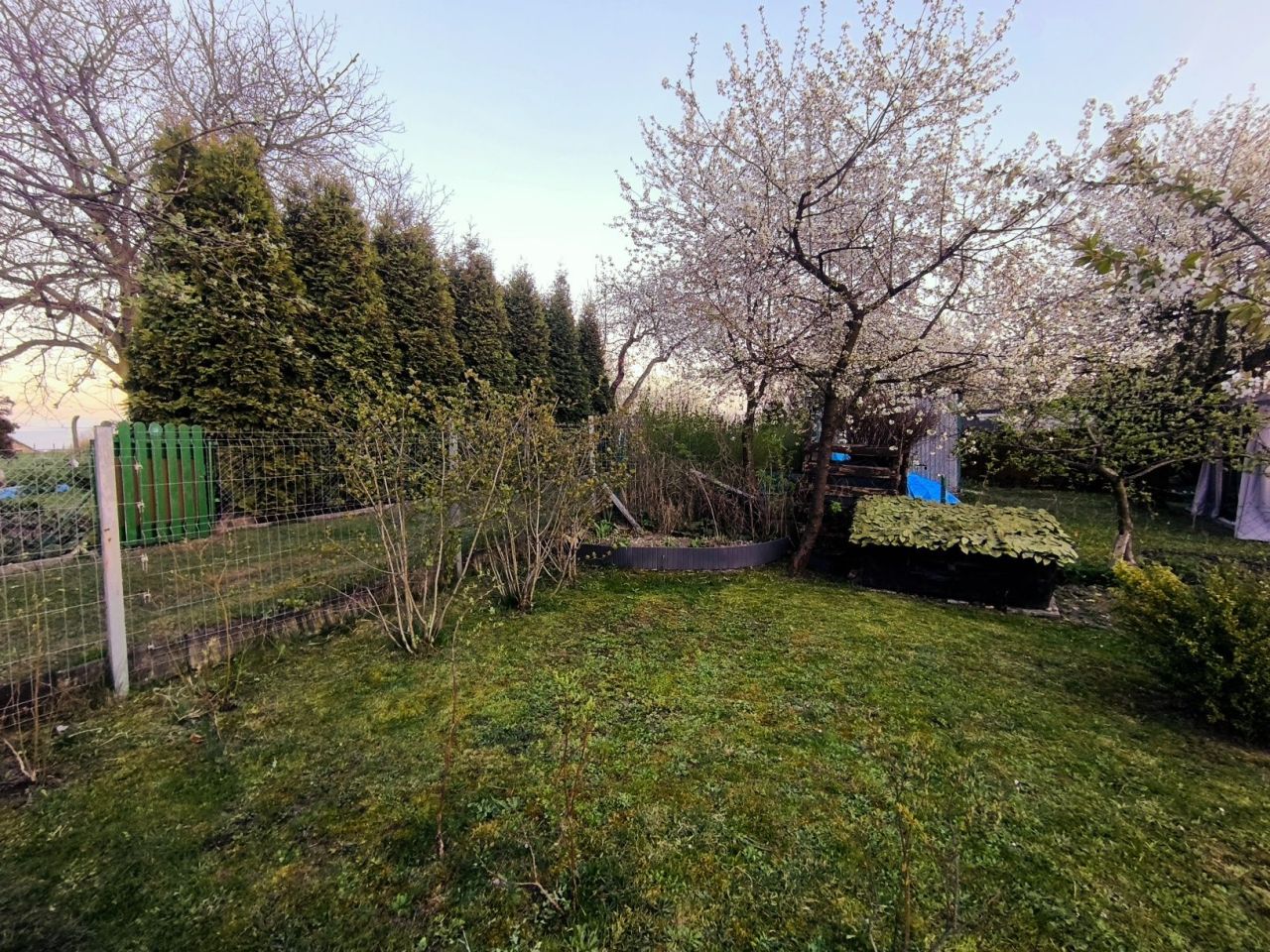 Działka rod Bieruń Bieruń Stary. Zdjęcie 8