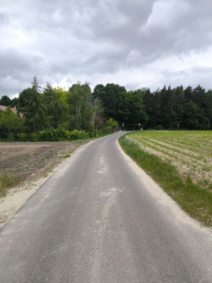 Działka budowlana Łabędź. Zdjęcie 4