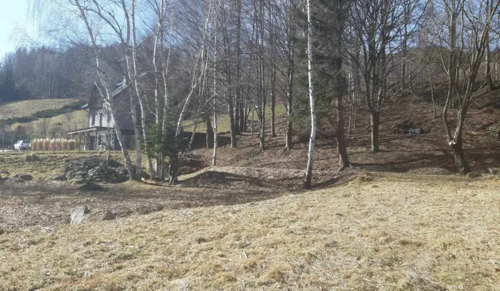 Działka budowlana Pieszyce Lasocin