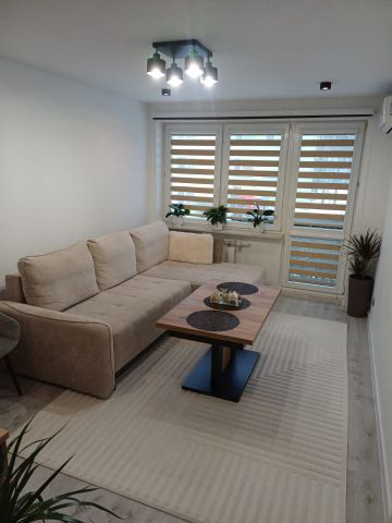 Mieszkanie 3-pokojowe Pustków-Osiedle. Zdjęcie 1