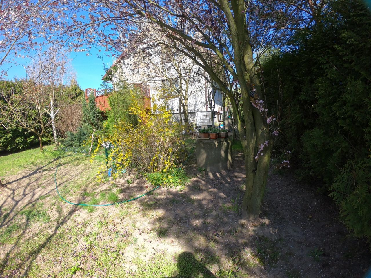 dom wolnostojący, 5 pokoi Sadów Kopce, ul. Powstańców Śląskich. Zdjęcie 5