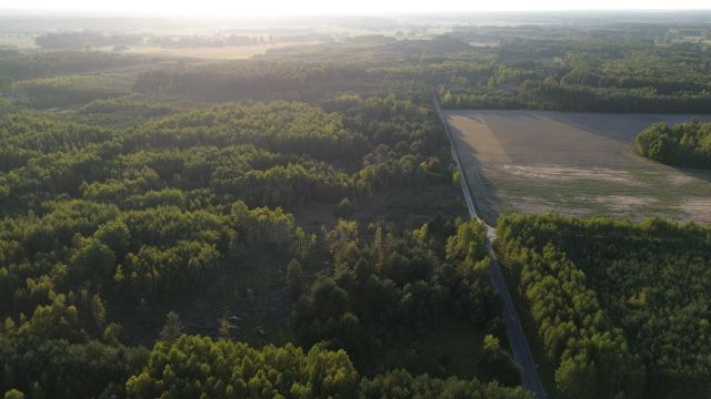 Działka rolno-budowlana Boguchwała. Zdjęcie 2