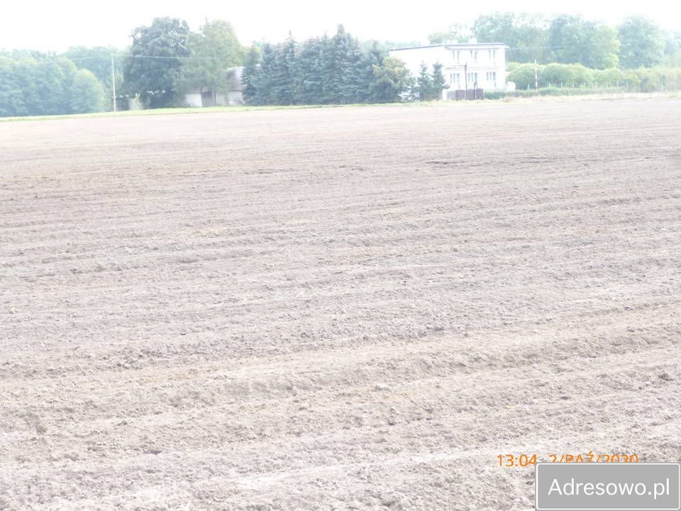 Działka rolna Cegielnia. Zdjęcie 8
