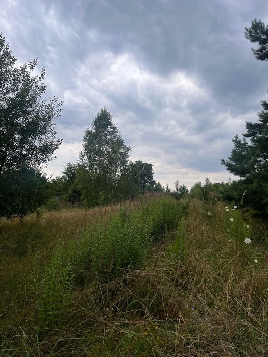 Działka siedliskowa Lubień. Zdjęcie 3