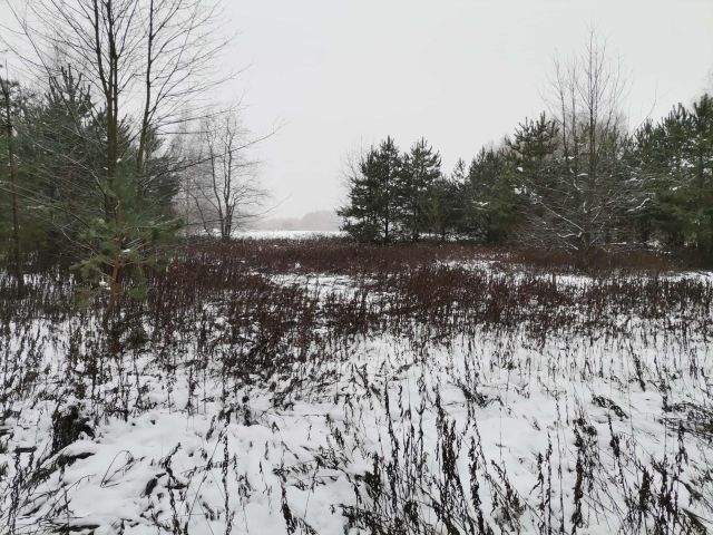 Działka rolna Łódź Bałuty, ul. Zimna Woda. Zdjęcie 1