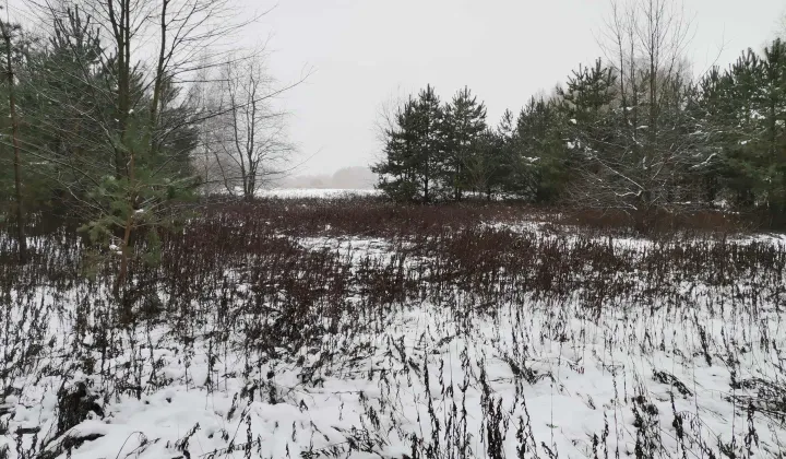 Działka rolna Łódź Bałuty, ul. Zimna Woda