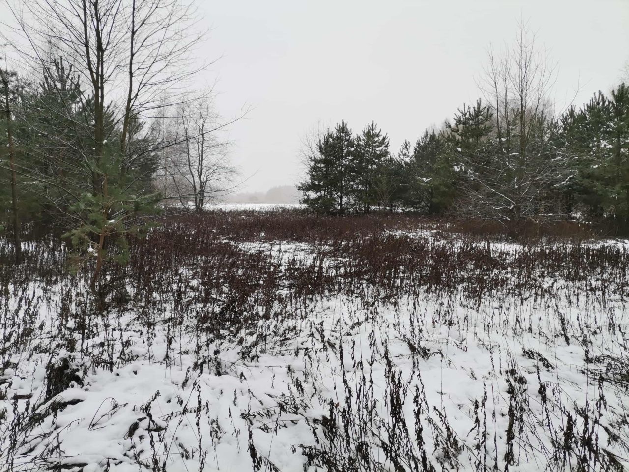 Działka rolna Łódź Bałuty, ul. Zimna Woda. Zdjęcie 1