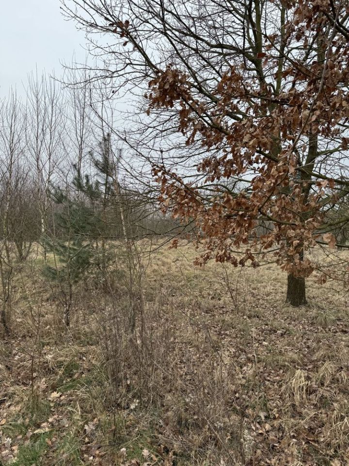 Działka budowlana Zębowo, ul. Łąkowa. Zdjęcie 4