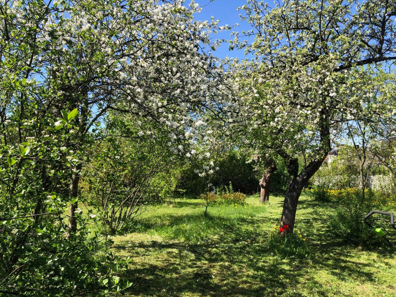 Działka rolna Zawiercie Centrum, ul. Kresowa