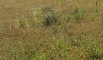 Działka rolno-budowlana Trębaczów