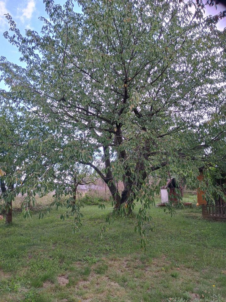 Działka rod Starogard Gdański Centrum, ul. Hermanowska. Zdjęcie 9
