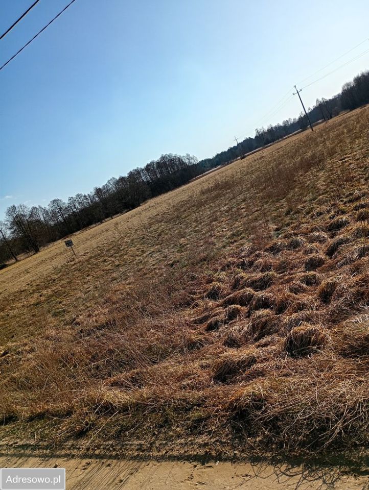 Działka rolna Nowa Wieś. Zdjęcie 2