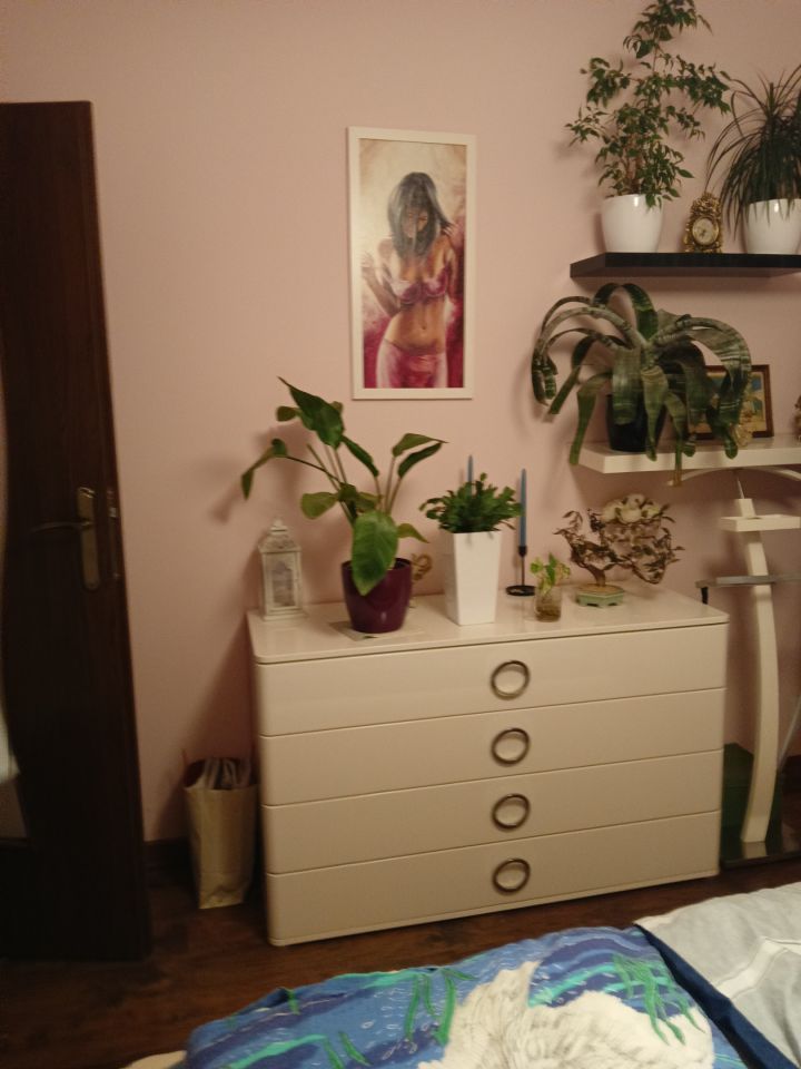 Mieszkanie 4-pokojowe Marki, ul. Pałacowa. Zdjęcie 5