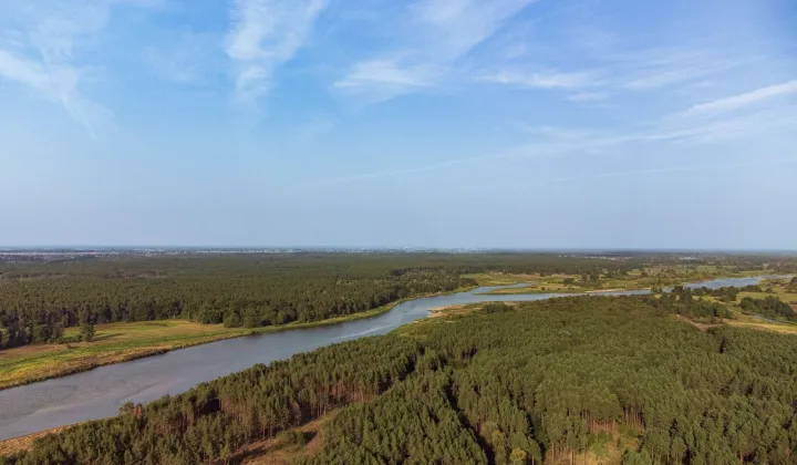 Działka leśna Dręszew