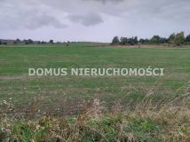 Działka siedliskowa Tworzyjanki. Zdjęcie 4