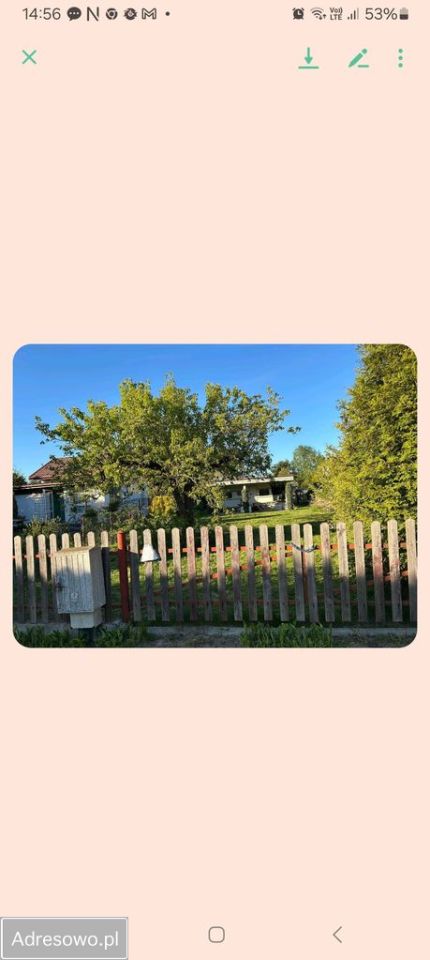 Działka rod Ciechocinek, ul. Gabriela Narutowicza. Zdjęcie 5