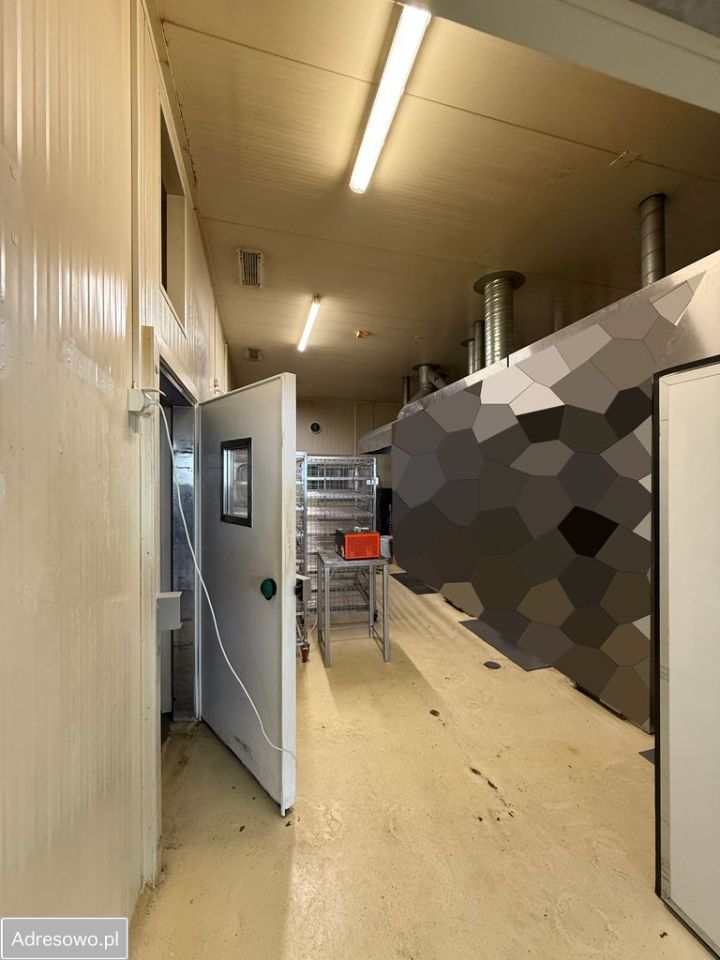 Hala/magazyn Bielsko-Biała, ul. Komorowicka. Zdjęcie 4