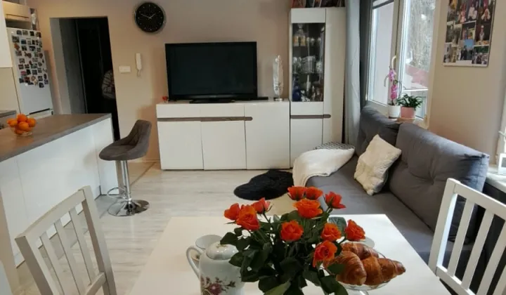 Mieszkanie 2-pokojowe Płock, Centrum