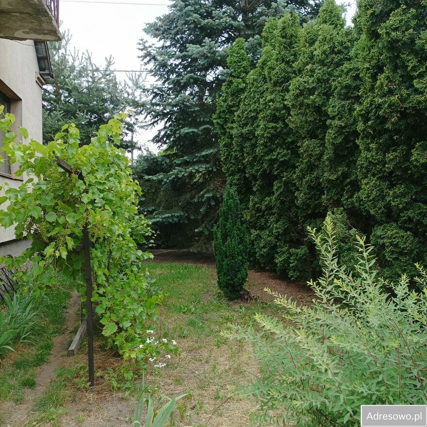 dom wolnostojący, 5 pokoi Pruszków Gąsin, ul. Edmunda Krzywdy-Rzewuskiego. Zdjęcie 9