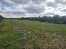 Działka rolna Czaplin. Zdjęcie 1