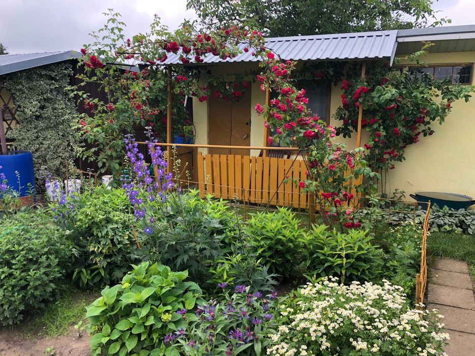 Działka rod Tarnobrzeg. Zdjęcie 5