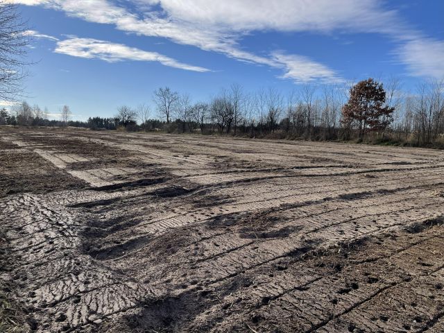 Działka budowlana Jastrząb, ul. Konopnickiej. Zdjęcie 6