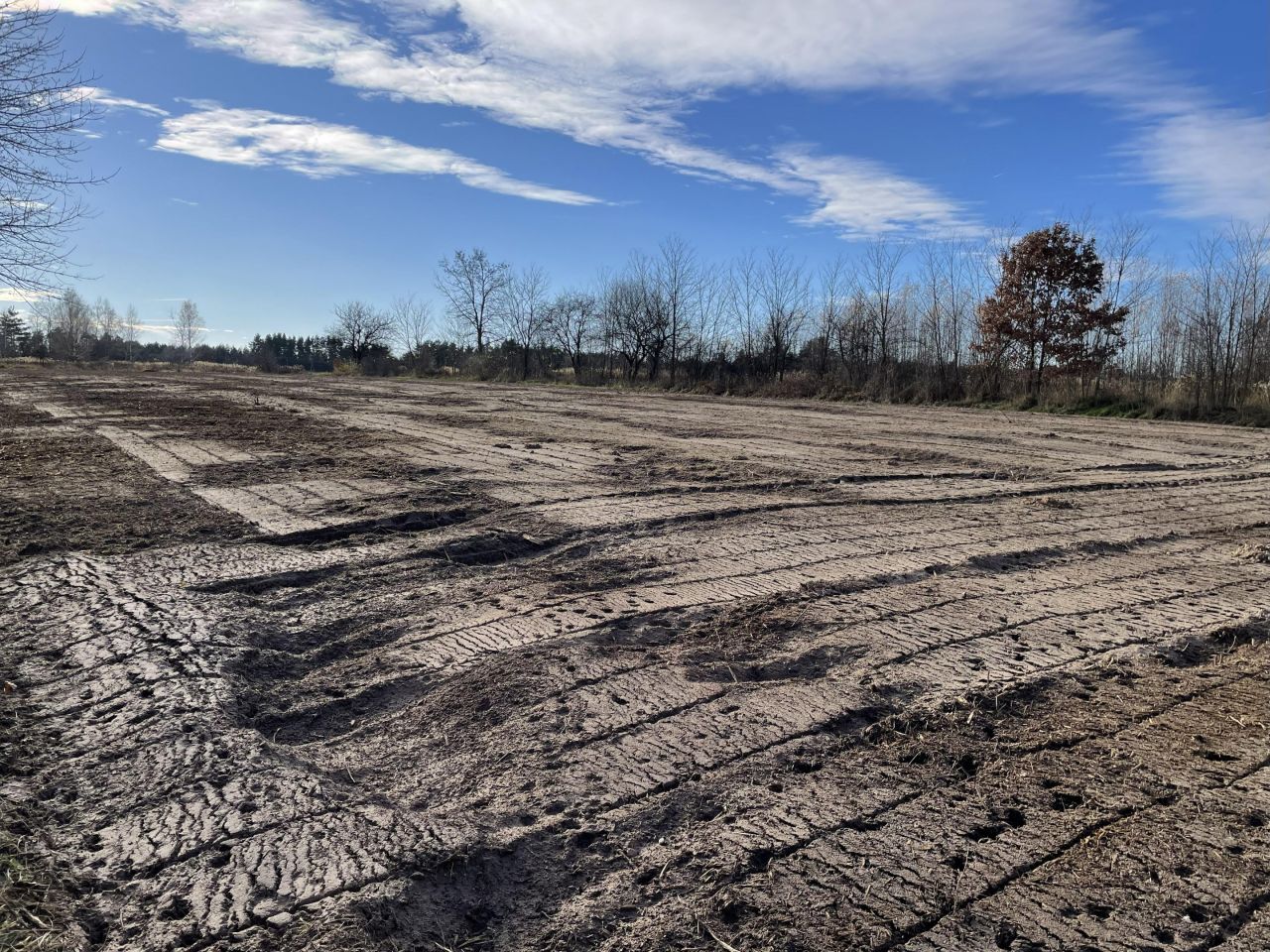 Działka budowlana Jastrząb, ul. Konopnickiej. Zdjęcie 5