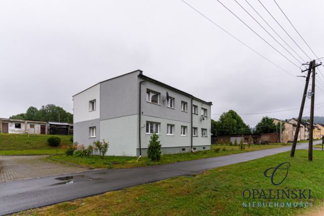 Mieszkanie 1-pokojowe Moszczaniec. Zdjęcie 11