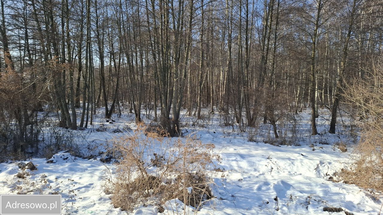 Działka rolna Dobrut. Zdjęcie 10