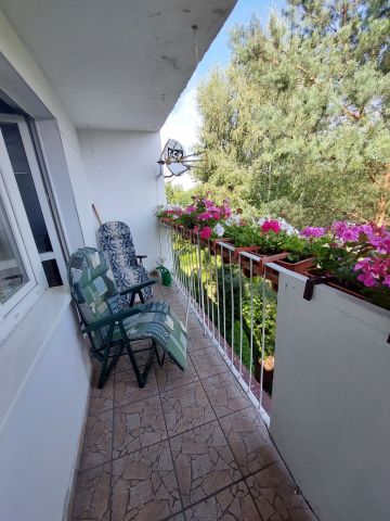 Mieszkanie 3-pokojowe Sosnowiec Zagórze, ul. Mielecka. Zdjęcie 1