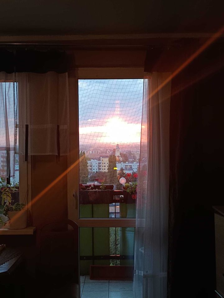 Mieszkanie 3-pokojowe Opole. Zdjęcie 7