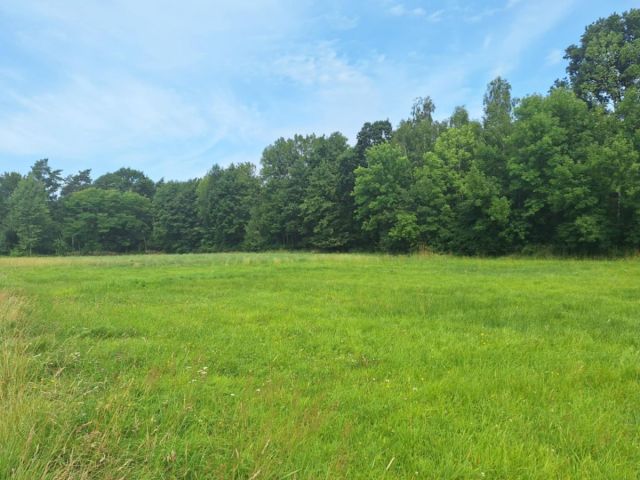 Działka rolna Kępa. Zdjęcie 1