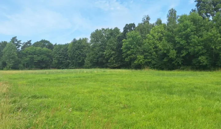 Działka rolna Kępa