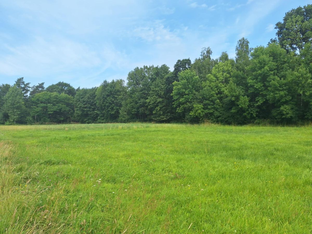 Działka rolna Kępa. Zdjęcie 1