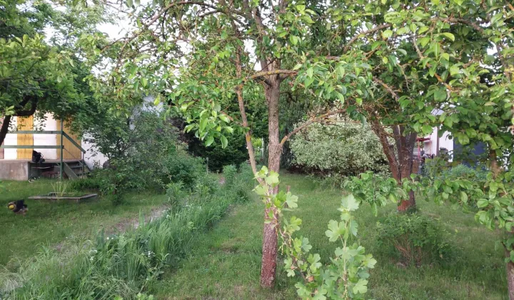 Działka rod Gorzów Wielkopolski
