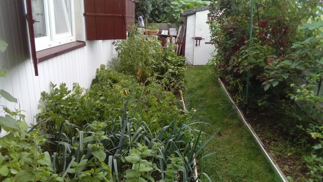 Działka rod Łódź Nowosolna, ul. Olkuska. Zdjęcie 4