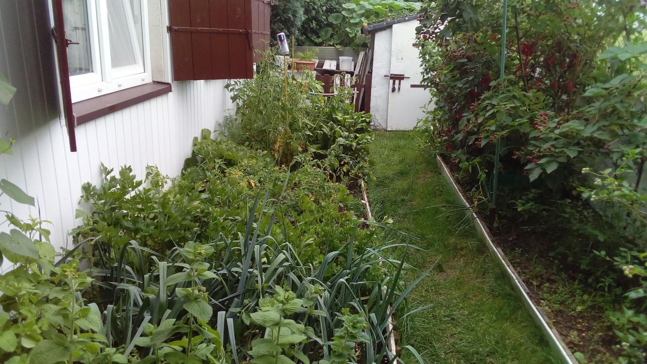 Działka rod Łódź Nowosolna, ul. Olkuska. Zdjęcie 4