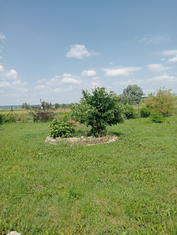 Działka rolna Białki. Zdjęcie 14