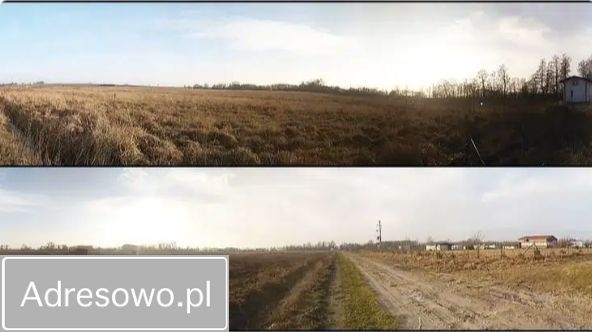 Działka rekreacyjna Zastań. Zdjęcie 6