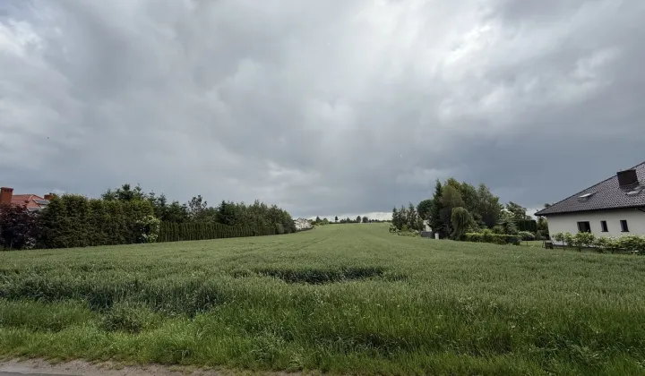 Działka budowlana Jakubowice Konińskie-Kolonia, ul. Klonowa
