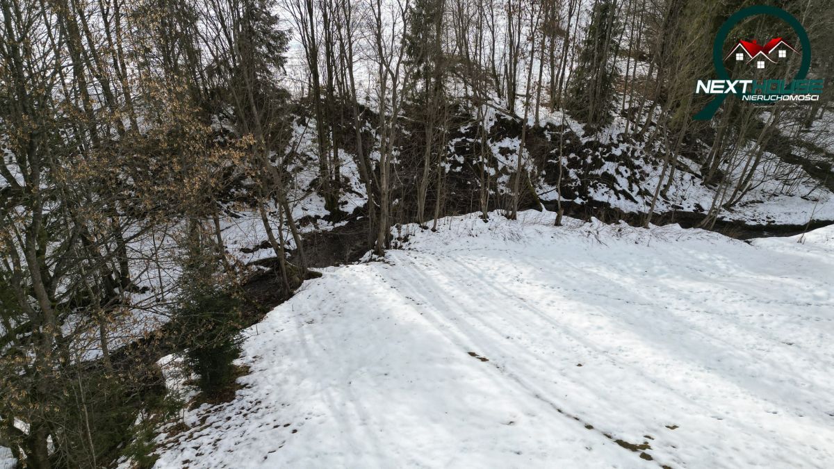 Działka inwestycyjna Dzianisz. Zdjęcie 10