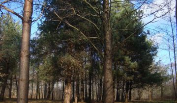 Działka budowlana Budy Zaklasztorne, ul. Lipowa/Mazowiecka