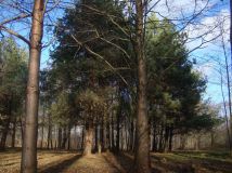 Działka budowlana Budy Zaklasztorne, ul. Lipowa/Mazowiecka