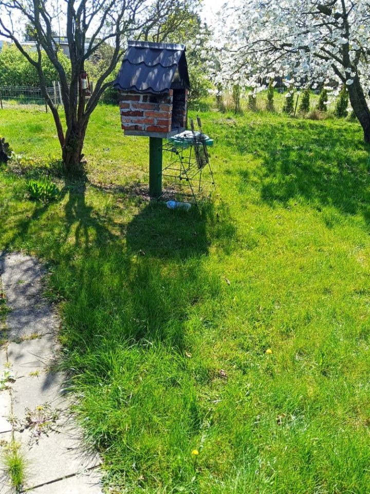 Działka rod Borek Wielkopolski. Zdjęcie 6